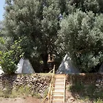 Shiva Camp Camping 3*
