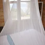 Shiva Camp