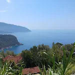 Camping Shiva Camp