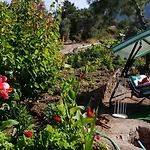 Camping Shiva Camp Faralya