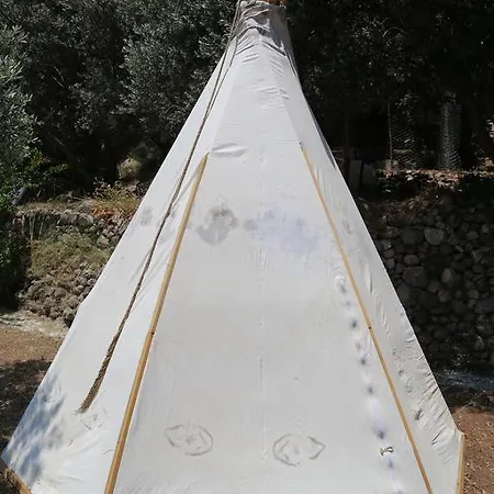 Shiva Camp Kamp alanı Faralya