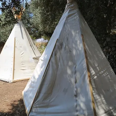 مكان تخييم Shiva Camp 3*
