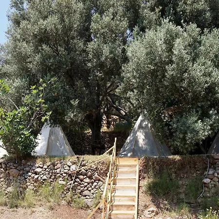 Shiva Camp مكان تخييم 3*