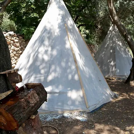 Shiva Camp Kamp alanı Faralya