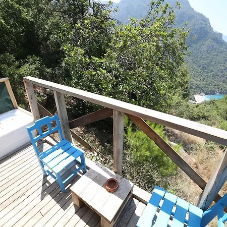 Shiva Camp فاراليا
