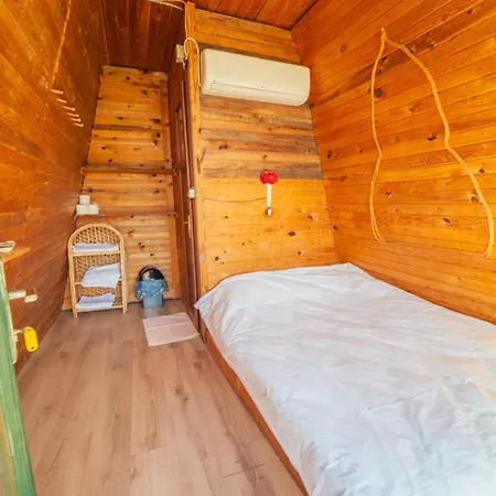مكان تخييم Shiva Camp 3*
