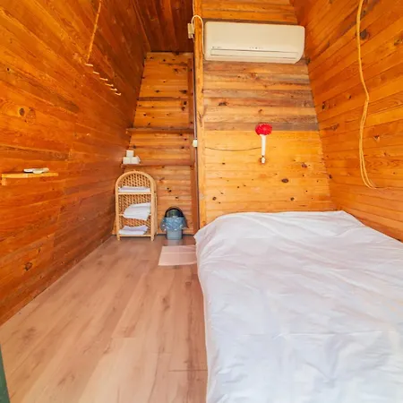 Kamp alanı Shiva Camp 3*