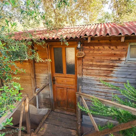 Shiva Camp Kamp alanı