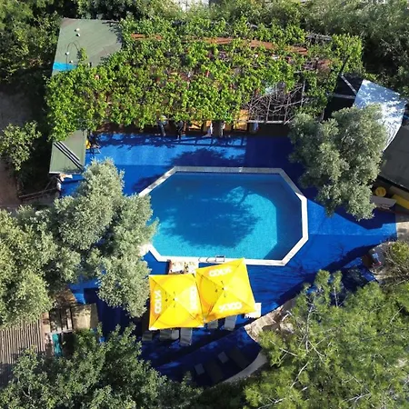 Shiva Camp Campsite Faralya