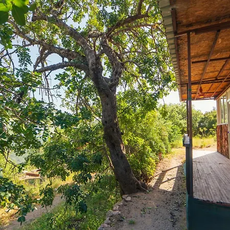 Campsite Shiva Camp Faralya