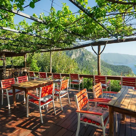 Kamp alanı Shiva Camp