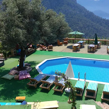 Shiva Camp Kamp alanı Faralya