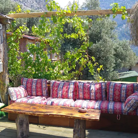 Shiva Camp فاراليا