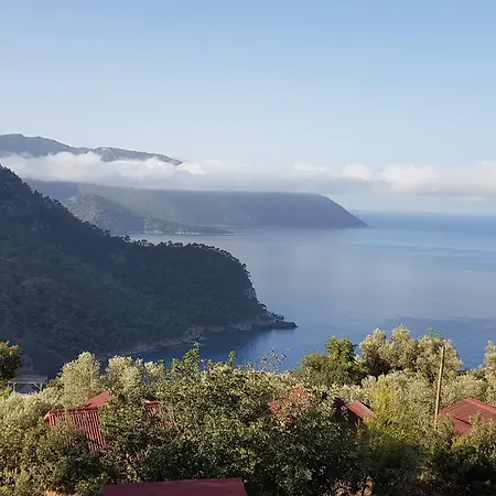 Shiva Camp مكان تخييم