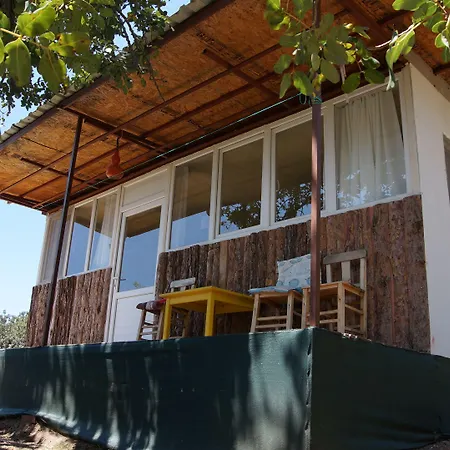 Shiva Camp فاراليا