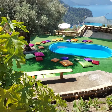 Kamp alanı Shiva Camp