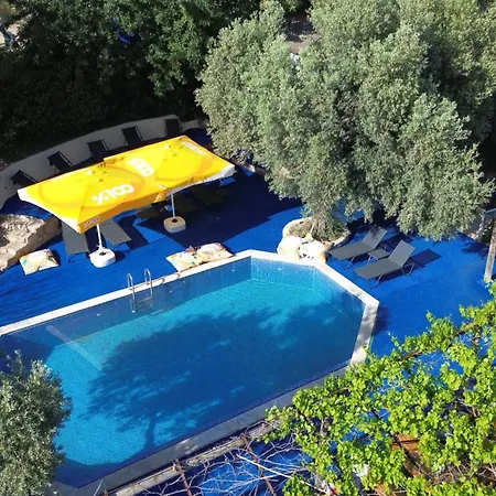 Shiva Camp 3*