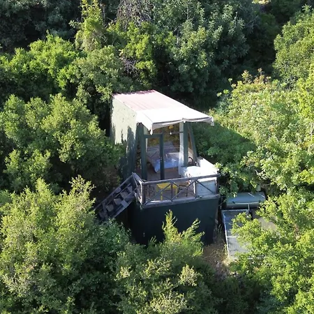 Shiva Camp 3* Faralya