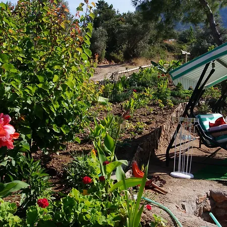 Campingplatz Shiva Camp Faralya