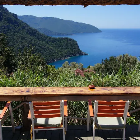 Camping Shiva Camp 3*