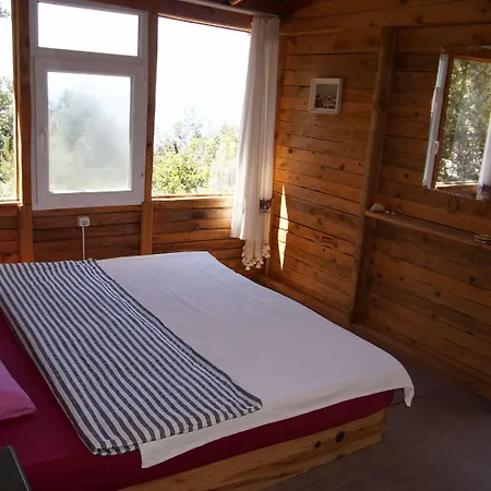 Campingplatz Shiva Camp 3*