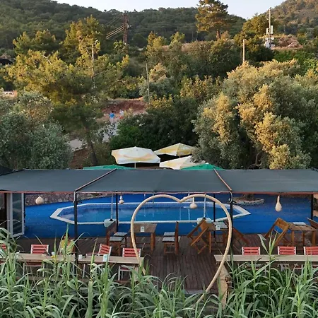 营地 Shiva Camp 法拉尔雅