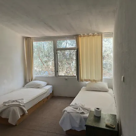 Shiva Camp 营地 法拉尔雅