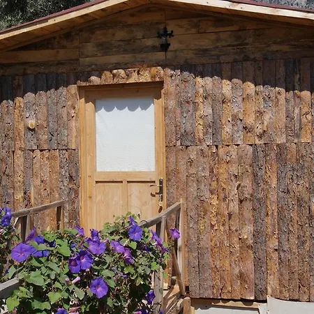 Campingplatz Shiva Camp 3*